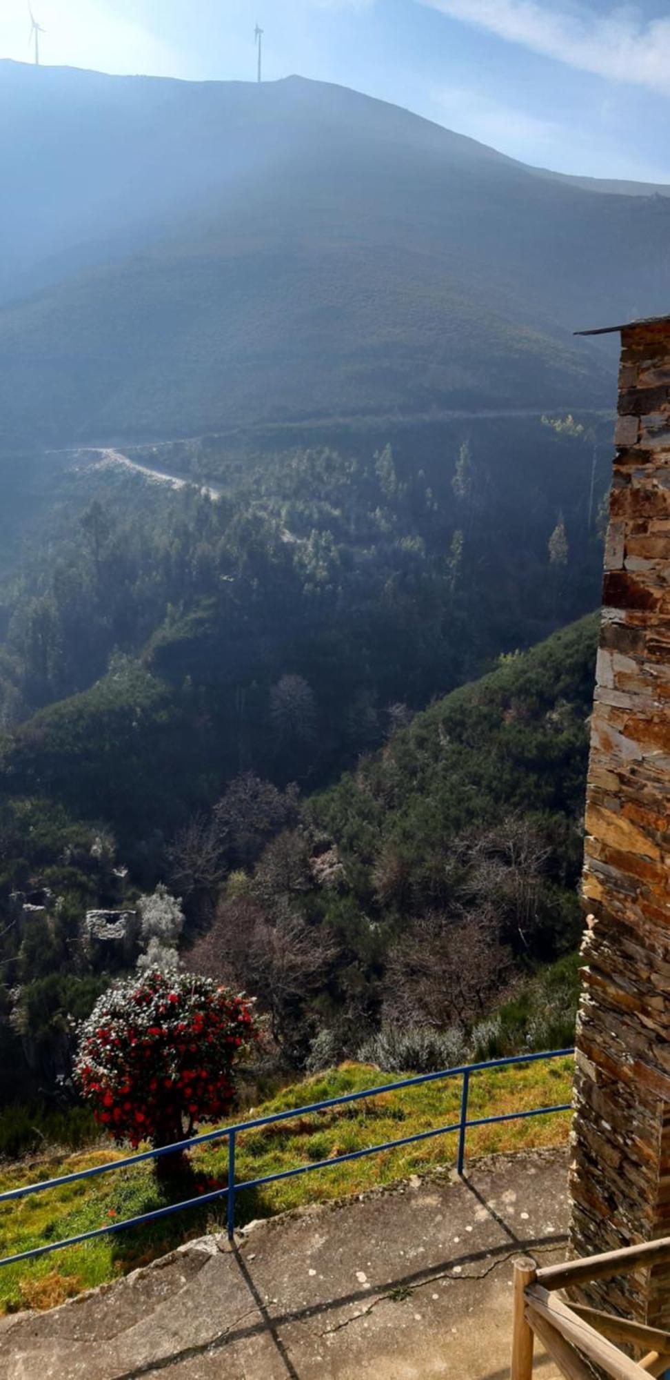 Casa Do Loureiro Βίλα Arganil Εξωτερικό φωτογραφία